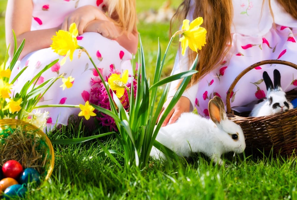 Easter Egg Hunts & Trails near Bracknell