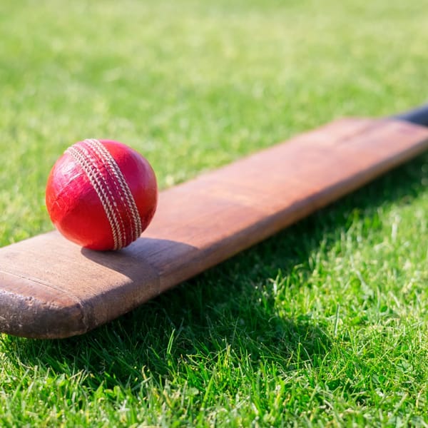 Cricket fun for kids and toddlers in Bracknell