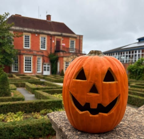 The South Hill Park Halloween Trail