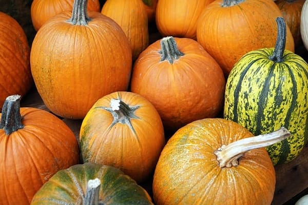Pumpkin Fair