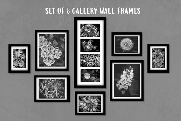 Julia Morrison Photography Wall Art