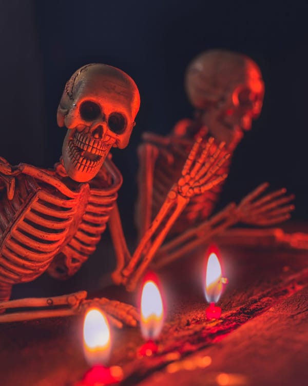 Halloween Trail at Bucklers Park