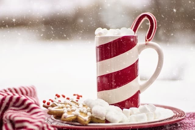 Moss End Garden Village - Christmas Fair