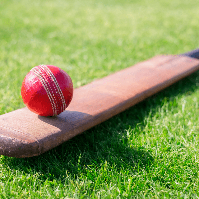 Cricket fun for kids and toddlers in Bracknell