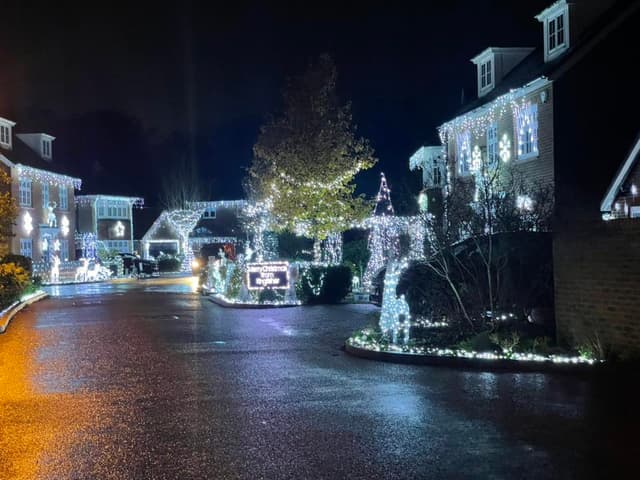 Kingfisher Chase and Dipper Lea Christmas Lights!