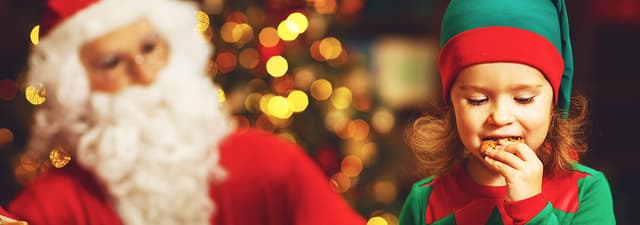 Festive Family Lunch with Santa