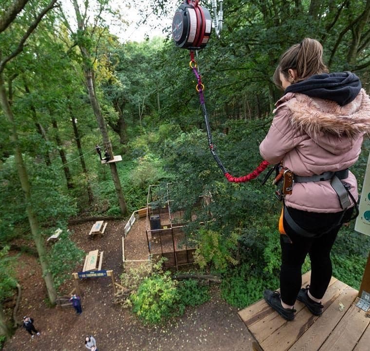 Go Ape Bracknell - image 1