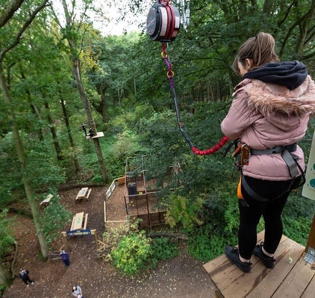Go Ape Bracknell